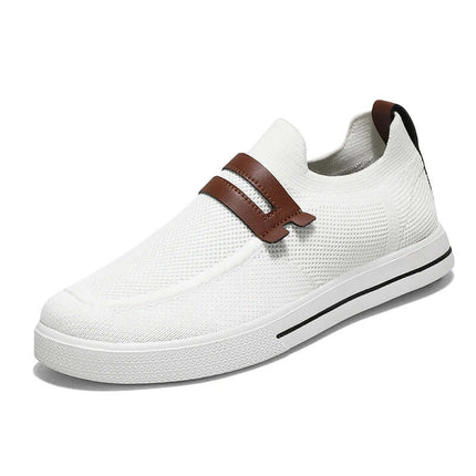 Aero Zapatillas